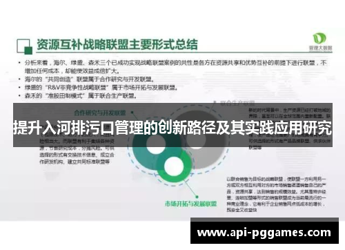 提升入河排污口管理的创新路径及其实践应用研究