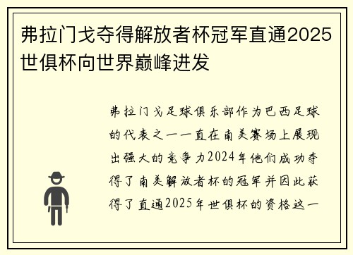 弗拉门戈夺得解放者杯冠军直通2025世俱杯向世界巅峰进发